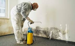 Best Mold Remediation for Healthcare Facilities in Avon Lake, OH